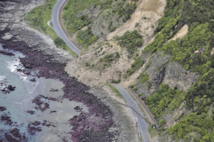 Kaikoura recovery project
